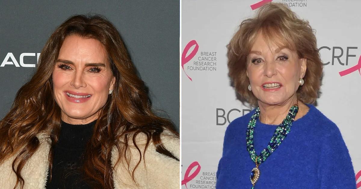 brookeshields barbarawalters pp