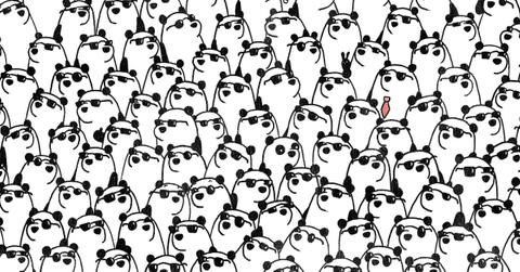 optical illusion sharp observation skills find pandas without sunglasses
