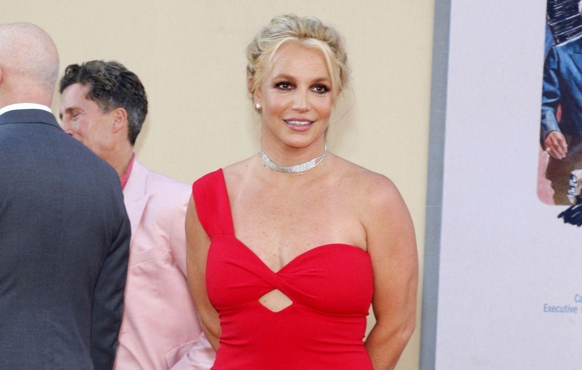 britney spears thrilled two dogs returned housekeeper dispute vet