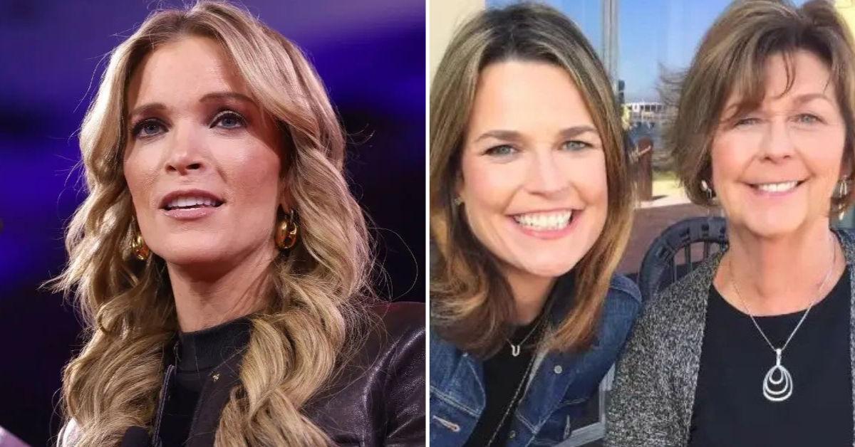 Megyn Kelly Brutally Rips 'Twit' Reporter After Nancy&hellip;