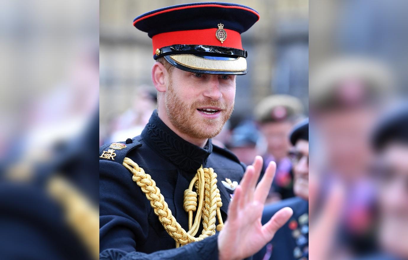 Royal Family Removes Prince Harry's 'HRH' Title From Their Website(02)