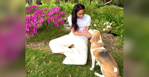 Photo of Meghan Markle