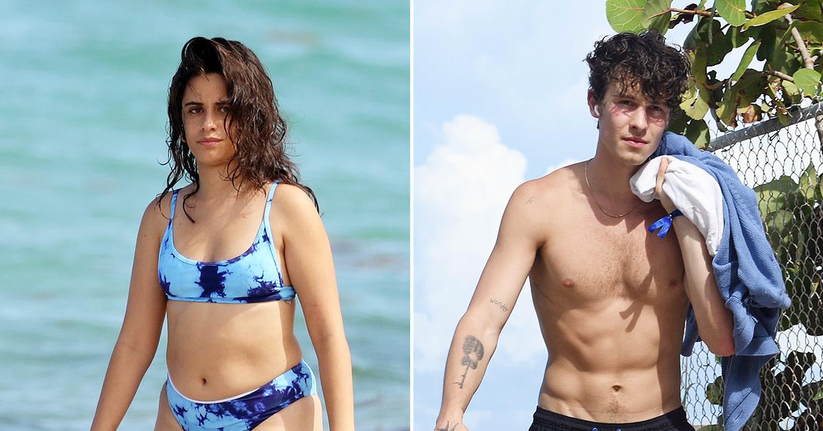 Shawn Mendes Camila Cabello Strip Down On The Beach Photos