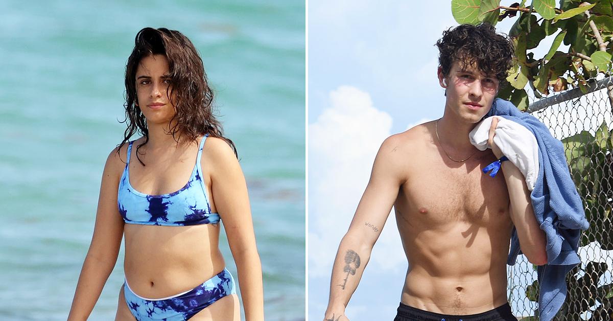 Shawn Mendes & Camila Cabello Strip Down On The Beach Photos