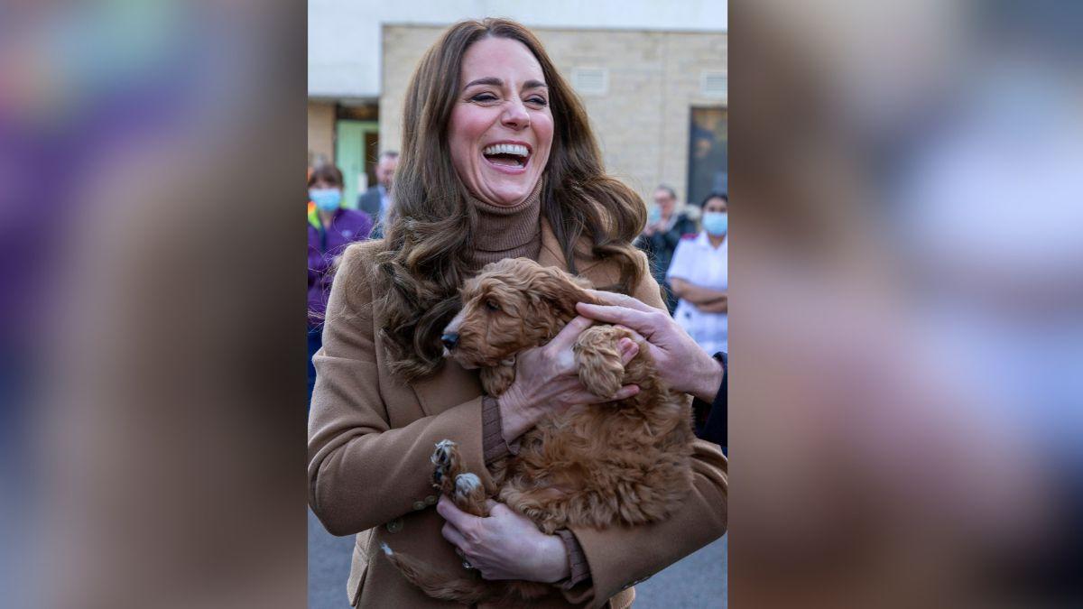 image of The family reportedly welcomed another dog. 