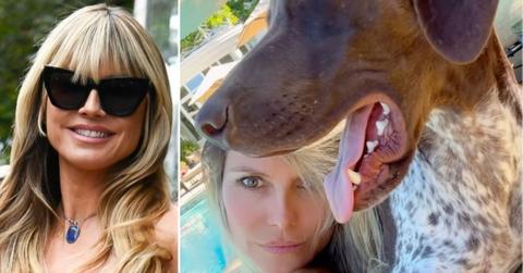 Composite photo of Heidi Klum.