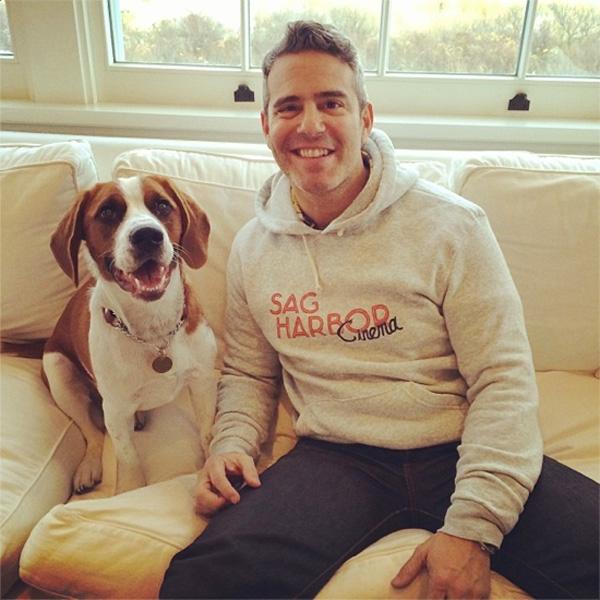 Andy Cohen