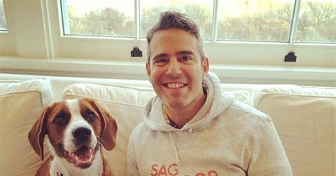 Andy Cohen