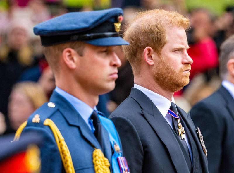 prince william doesnt think prince harry deserves money