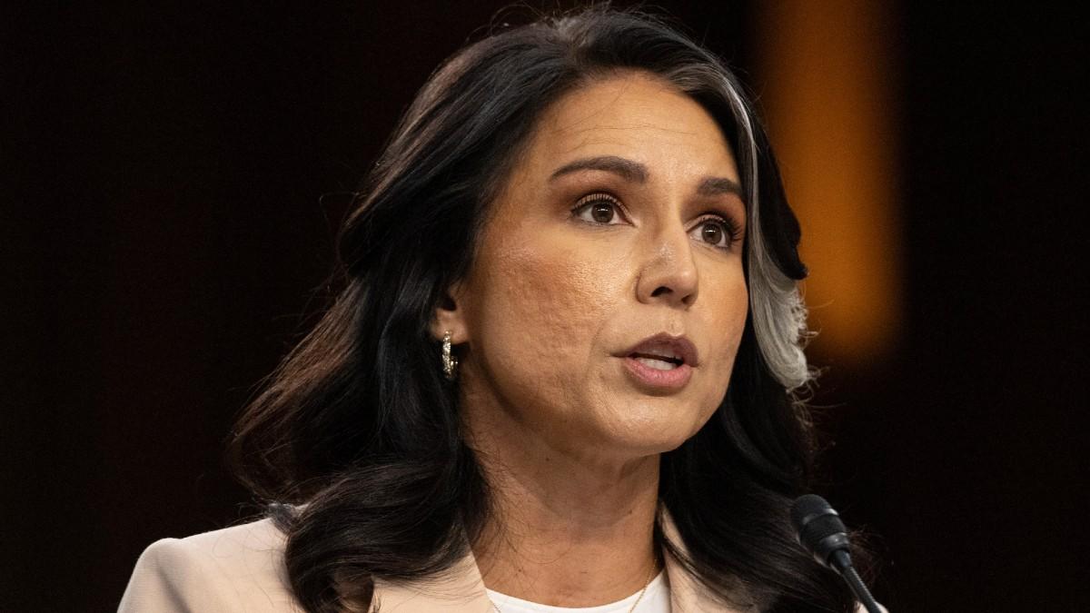 image of Karoline Leavitt defended Tulsi Gabbard. 