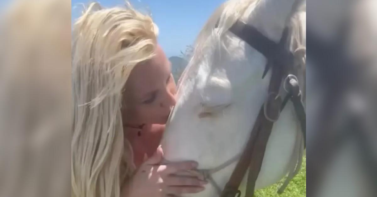 britney spears therapy concern well being working horses peace