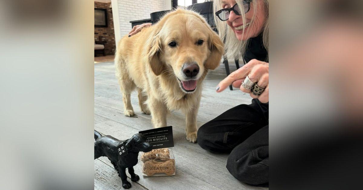 image of Diane Keaton allegedly left $5 million to her dog, Reggie.