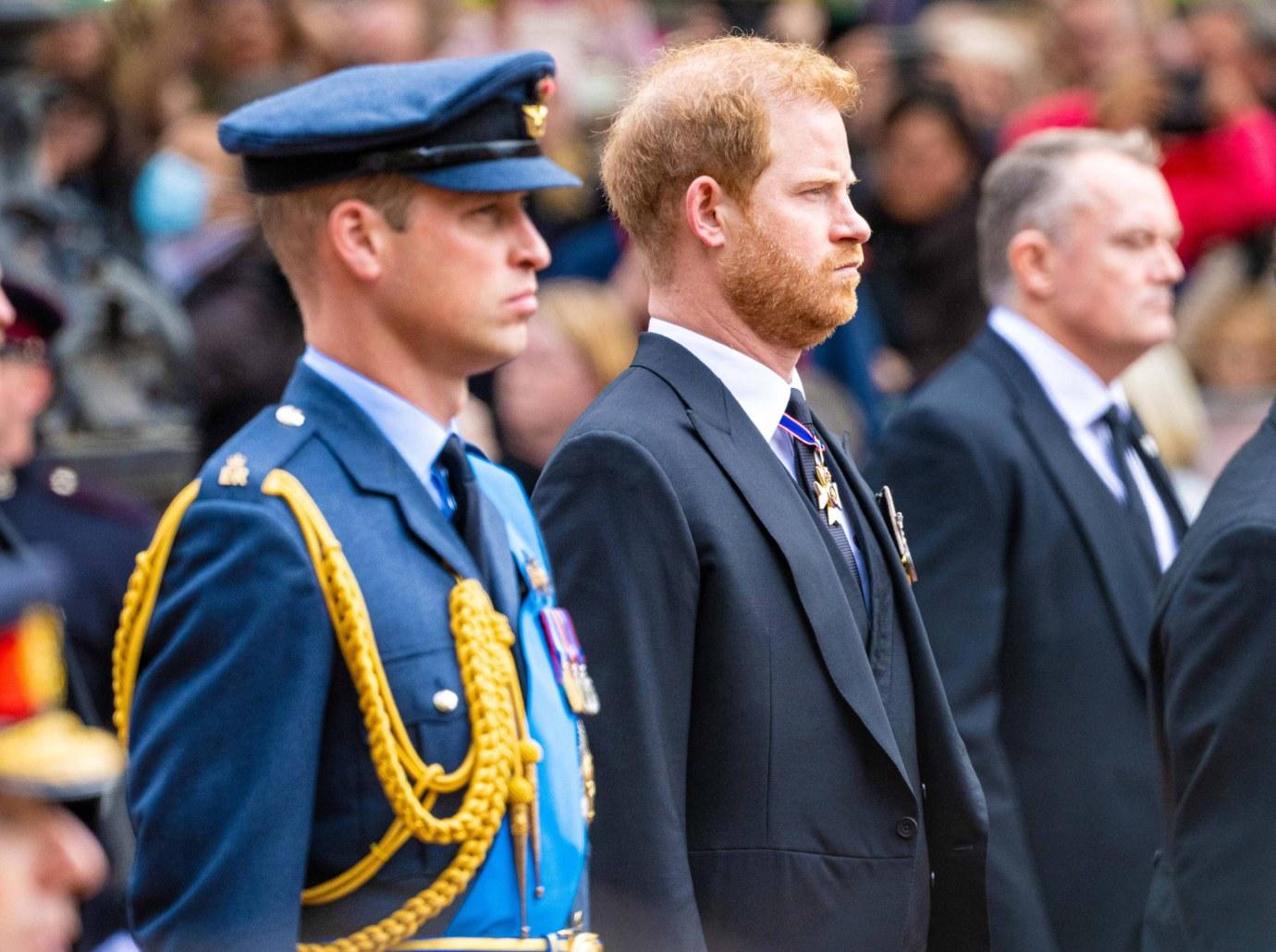 prince william prince harry