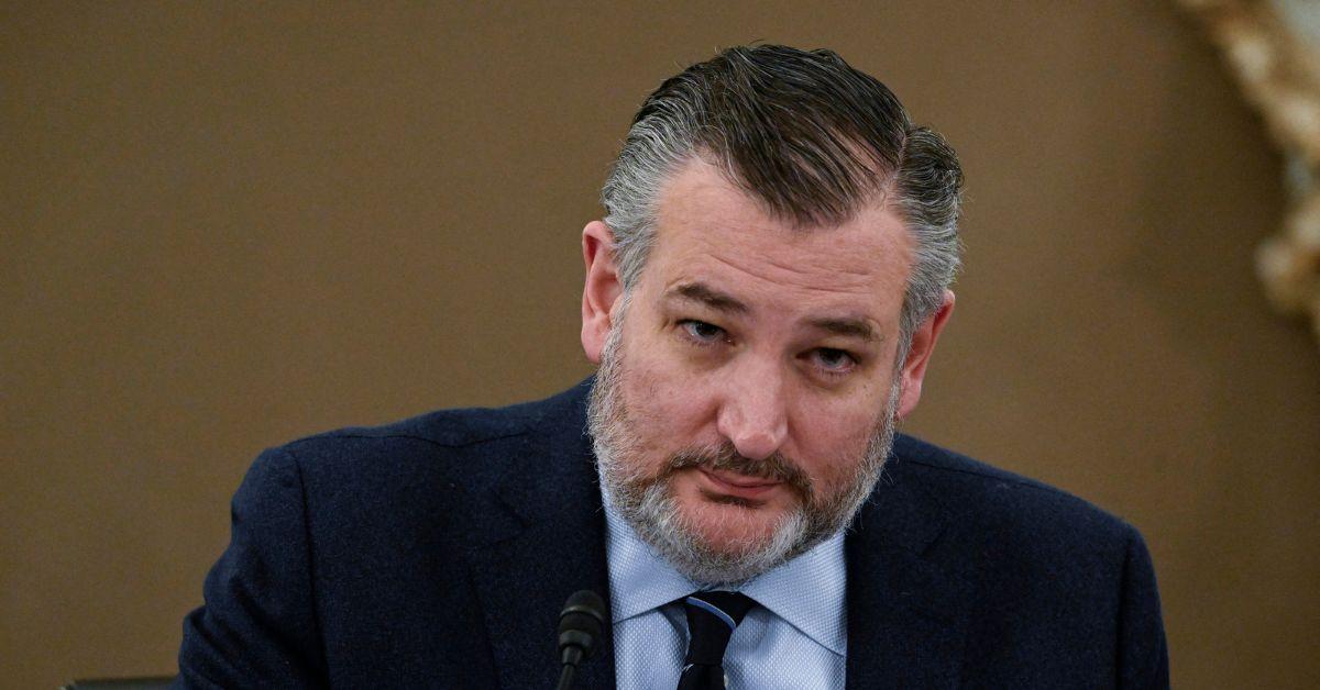 image of The politician insisted the alleged shooter, Tyler Robinson, was a 'left-wing activist' motivated by ideology.