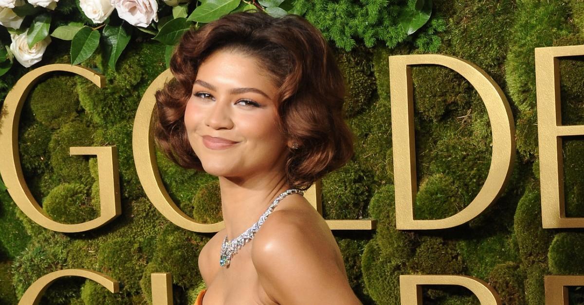 image of Zendaya and Sydney Sweeney were 'perfectly professional while filming,' a source said.
