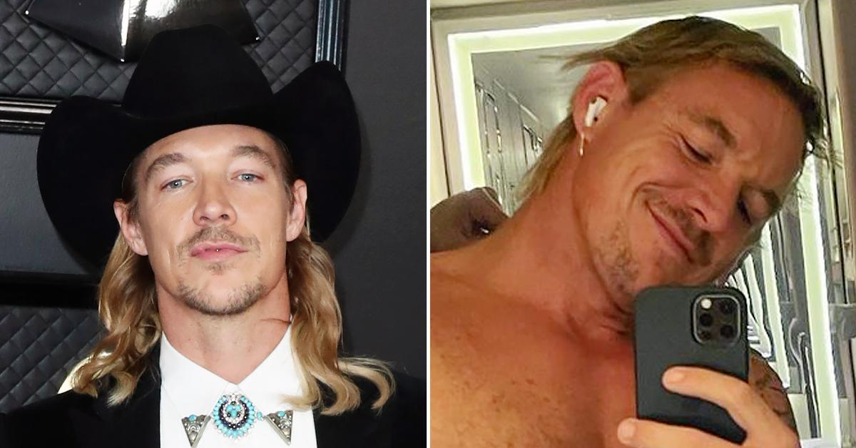 diplo posts shirtless airplane bathroom selfie as shocking sexual assault accusations arise ok