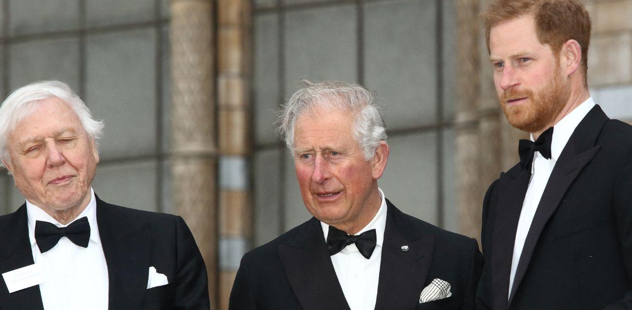 prince harry did not intend snub king charles solider year speech