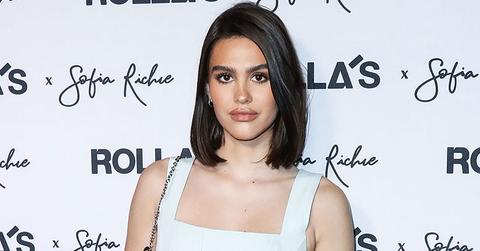 Who Is Model Amelia Hamlin? Get To Know Scott Disick's New Fling