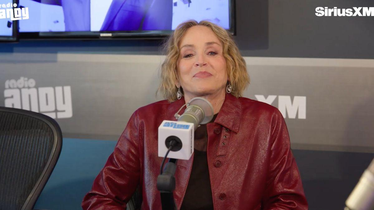 Image of Sharon Stone is reportedly single.