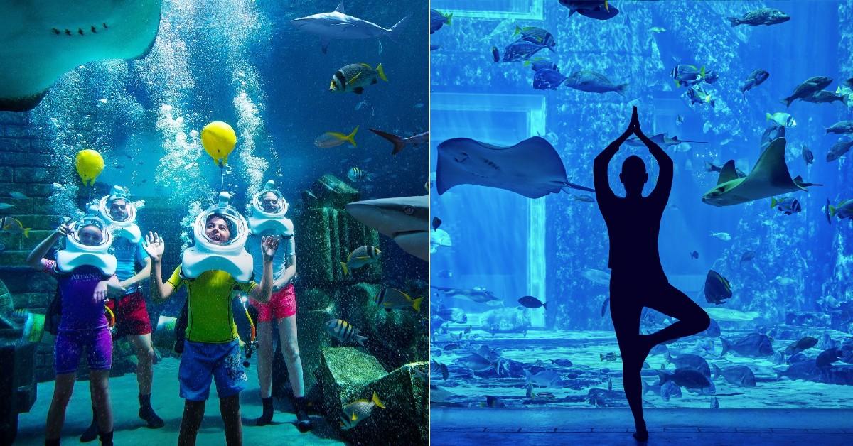 atlantis aqurium