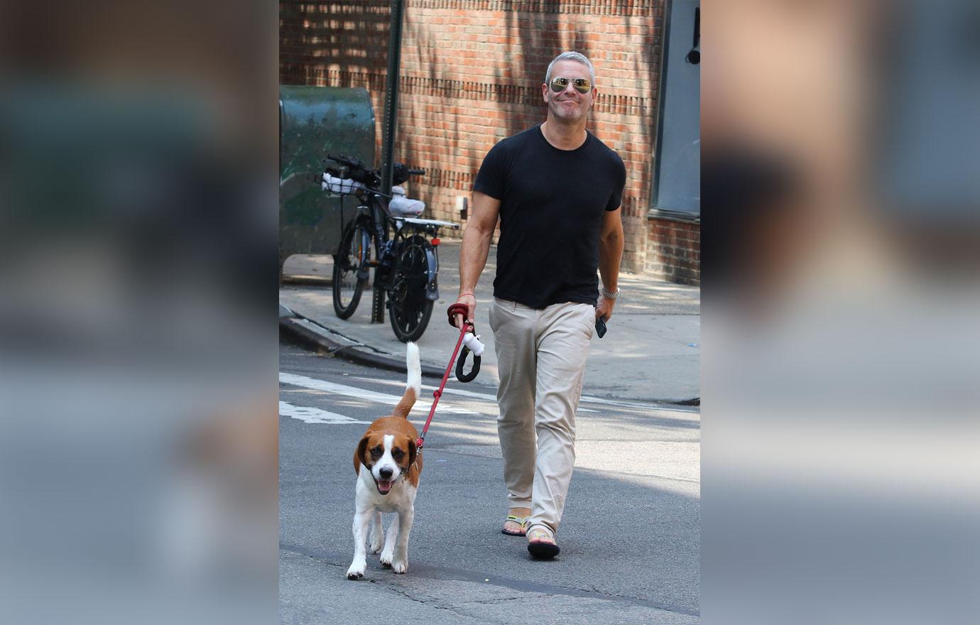 Andy Cohen is all smiles walking his dog in NYC