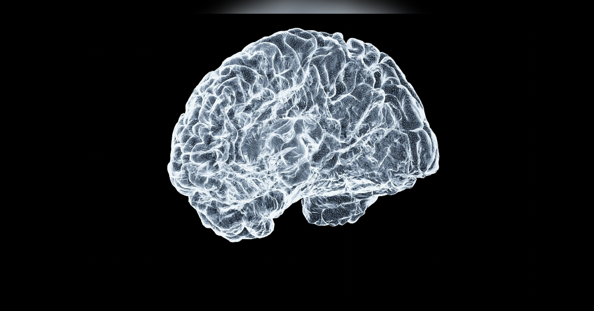 unlocking the brains potential what research reveals about natural nootropics