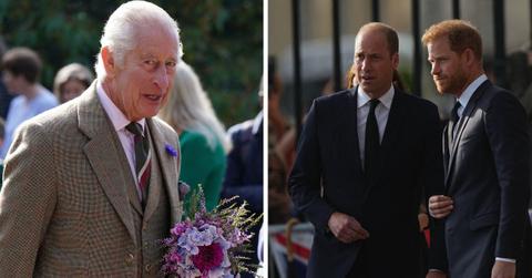 prince william prince harry walkabout king charles idea