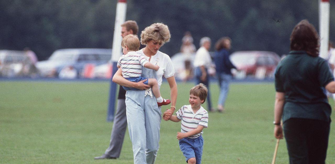 princess diana would be devastated prince harry left prince william