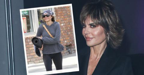 lisa-rinna-body-of-work