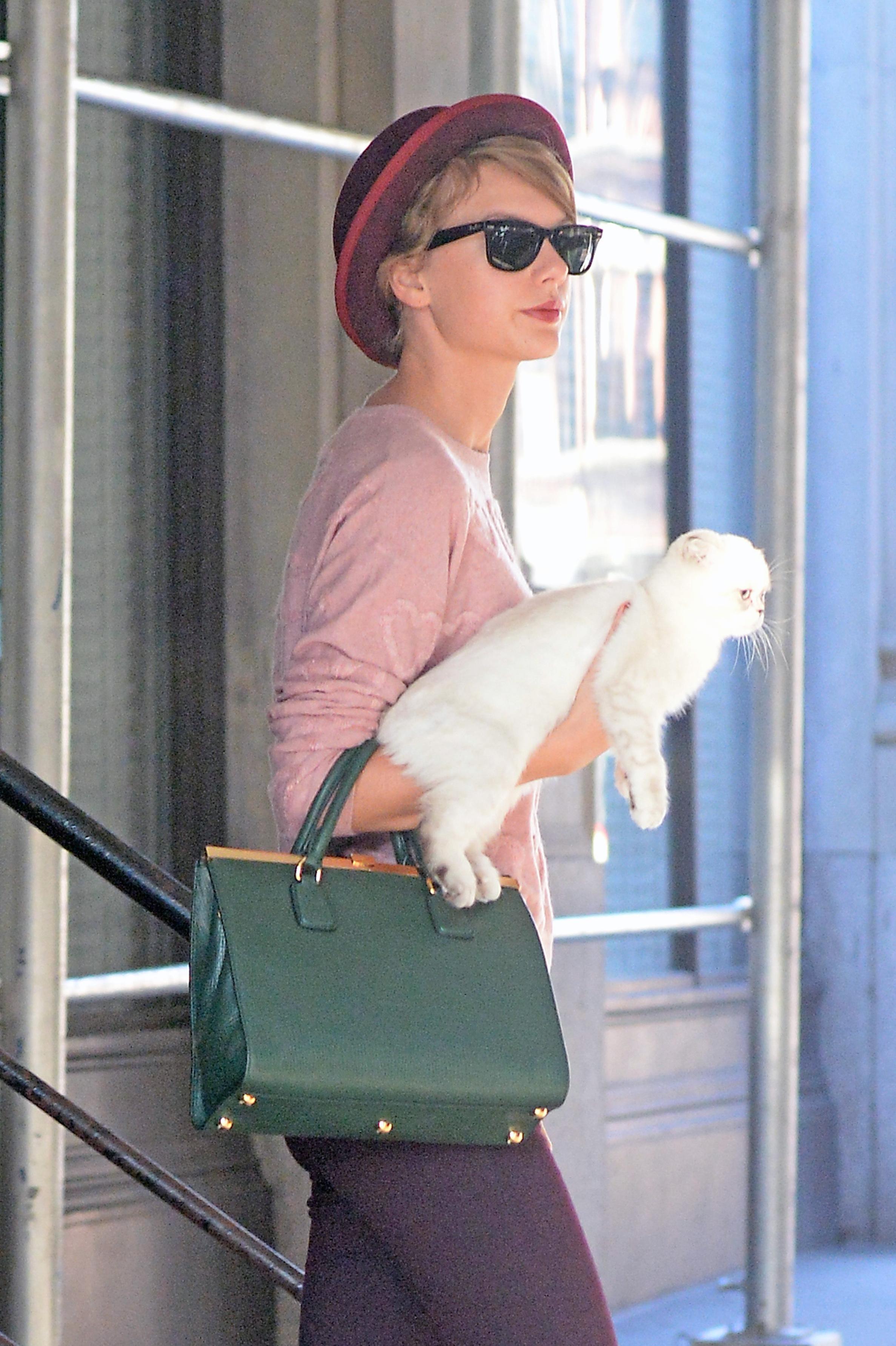 Taylor Swift and her cat Olivia Benson in New York City