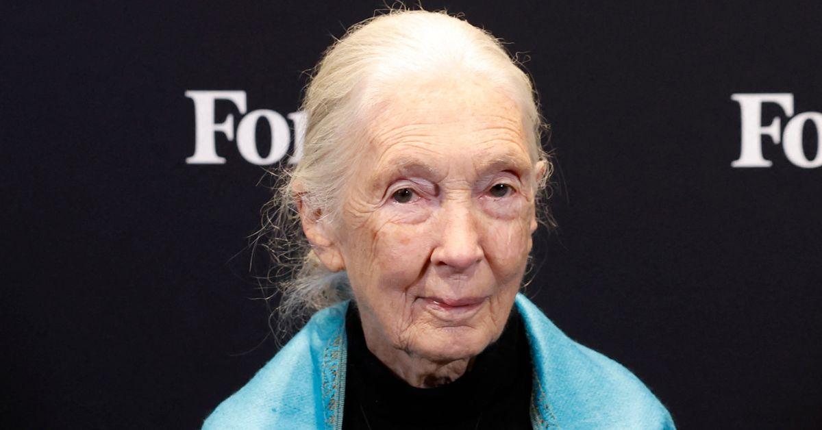 photo of Jane Goodall. 