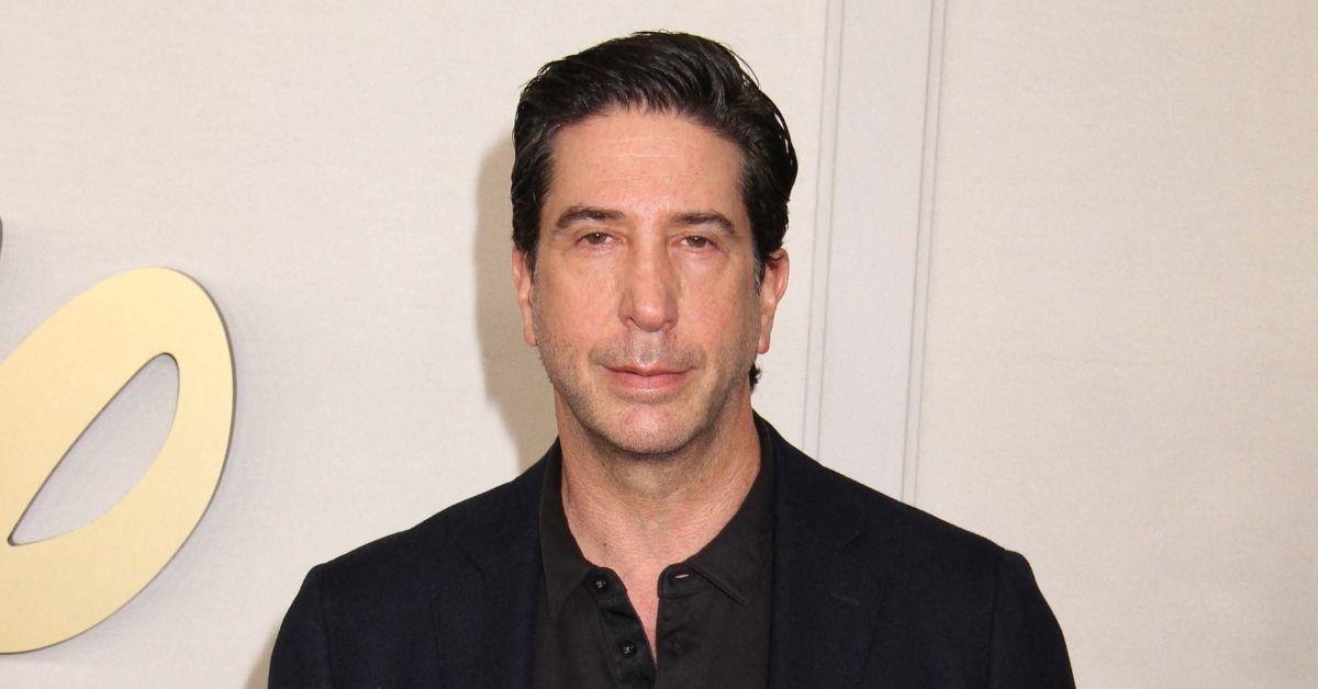 david schwimmer