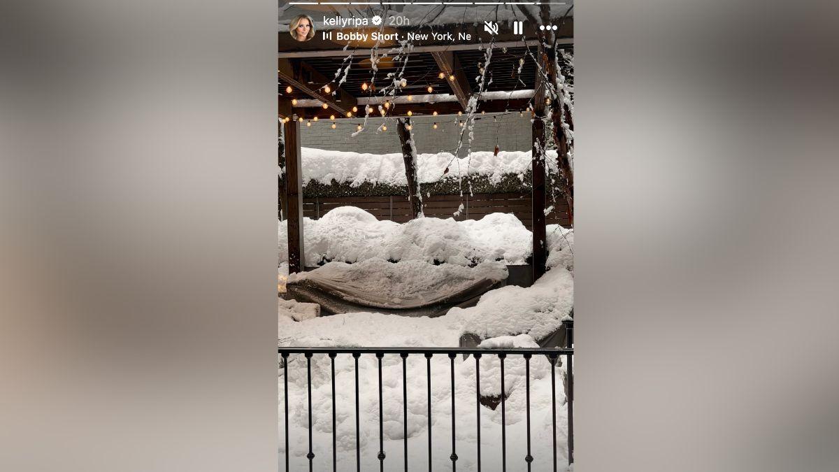 Image of Kelly Ripa shared a snap of her roof covered in snow.