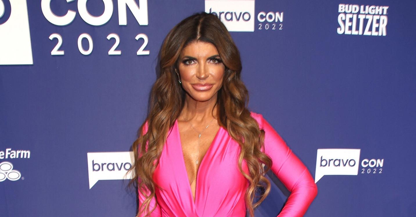 Teresa Giudice Calls Sofia Vergara The 'Rudest Woman She's Ever Met