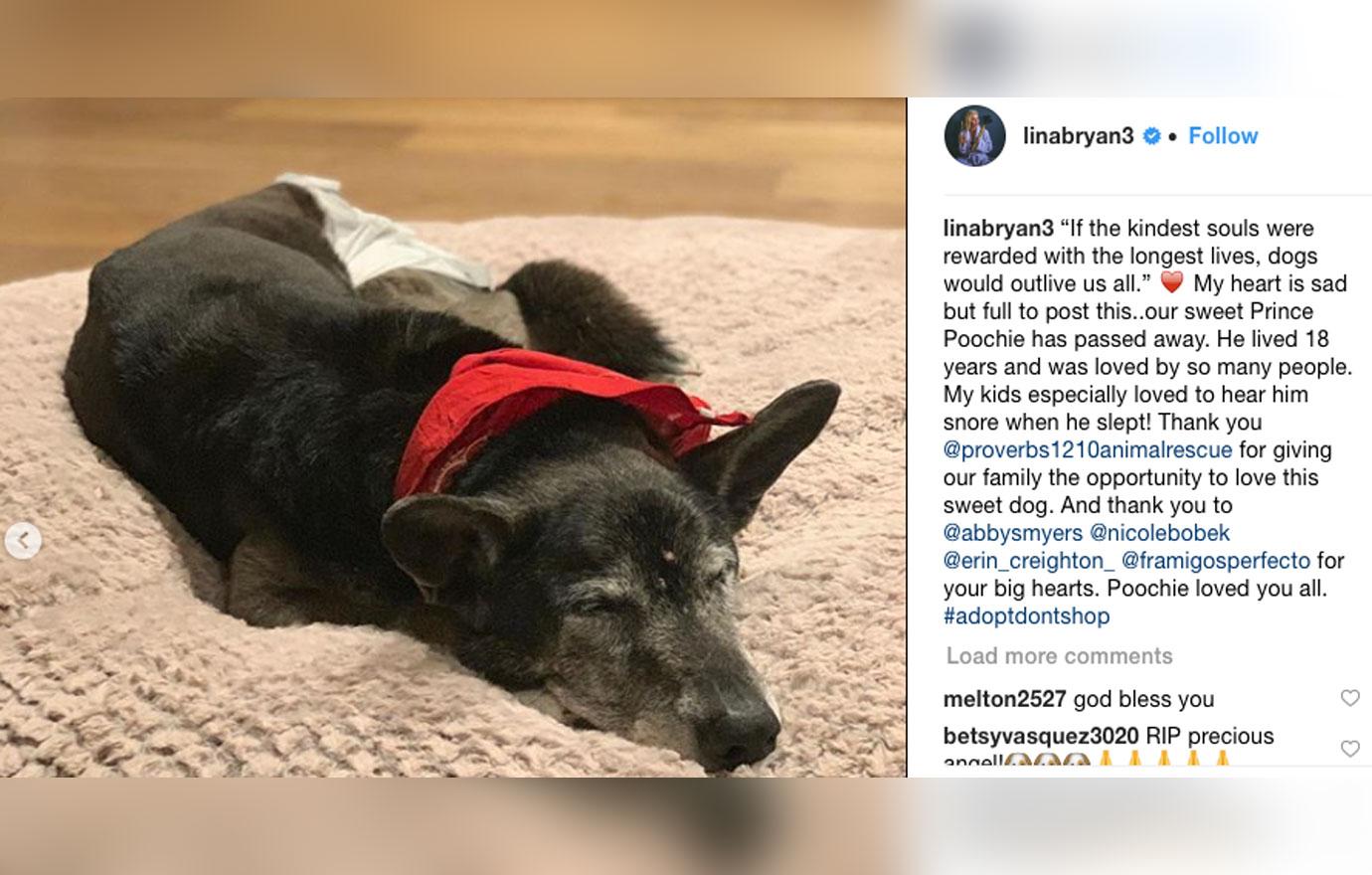 pic ofLuke Bryan's rescue dog