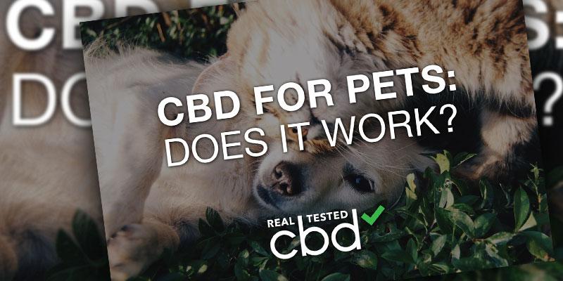 CBD Pets