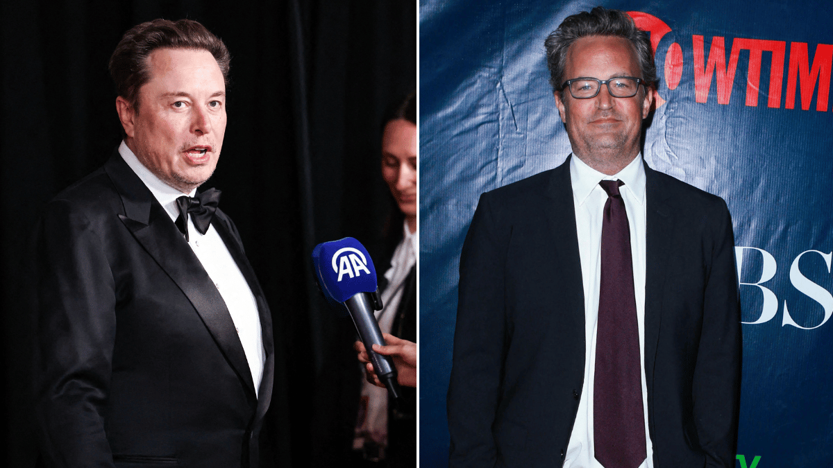 image of Elon Musk was seen taking mushrooms, his baby mama claims. 