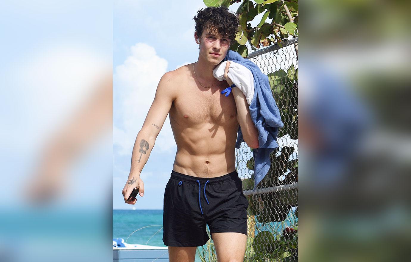 Shawn Mendes & Camila Cabello Strip Down On The Beach: Photos