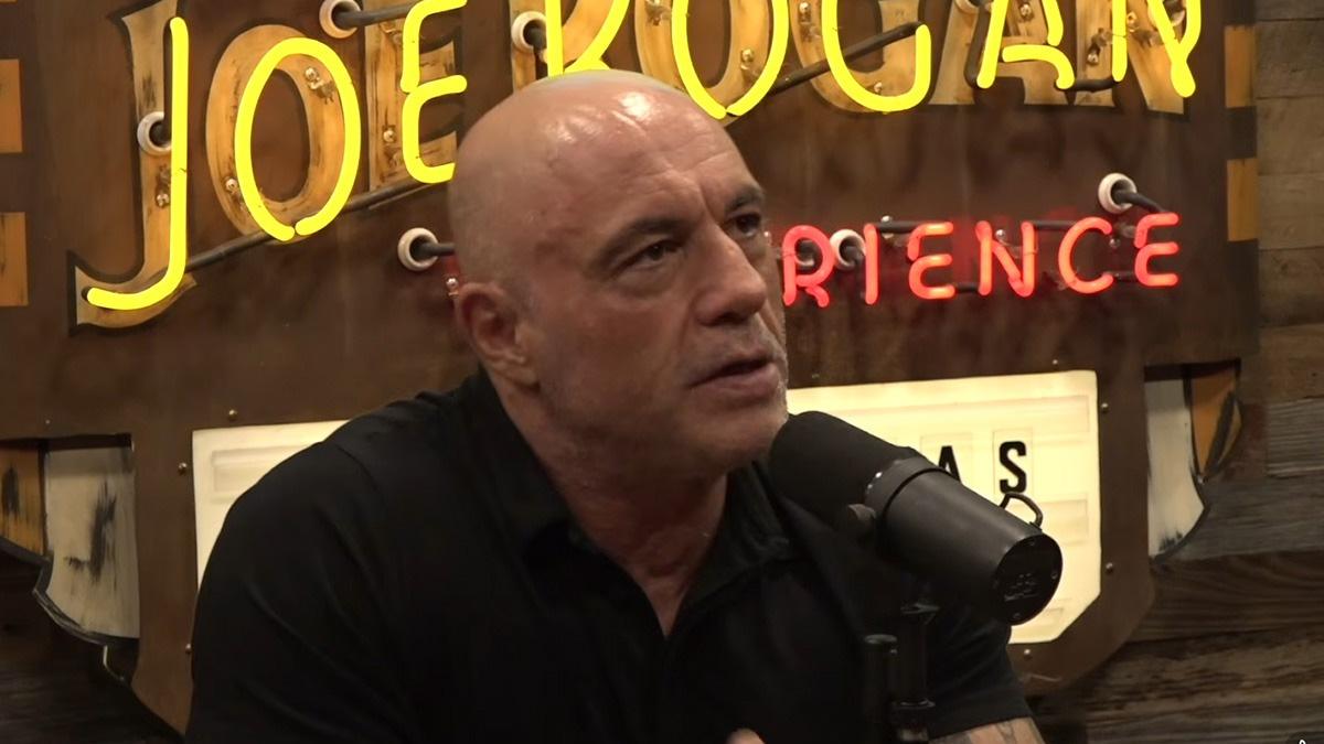 Photo of The VP and Joe Rogan discussed the voter ID debate on the latter's podcast.