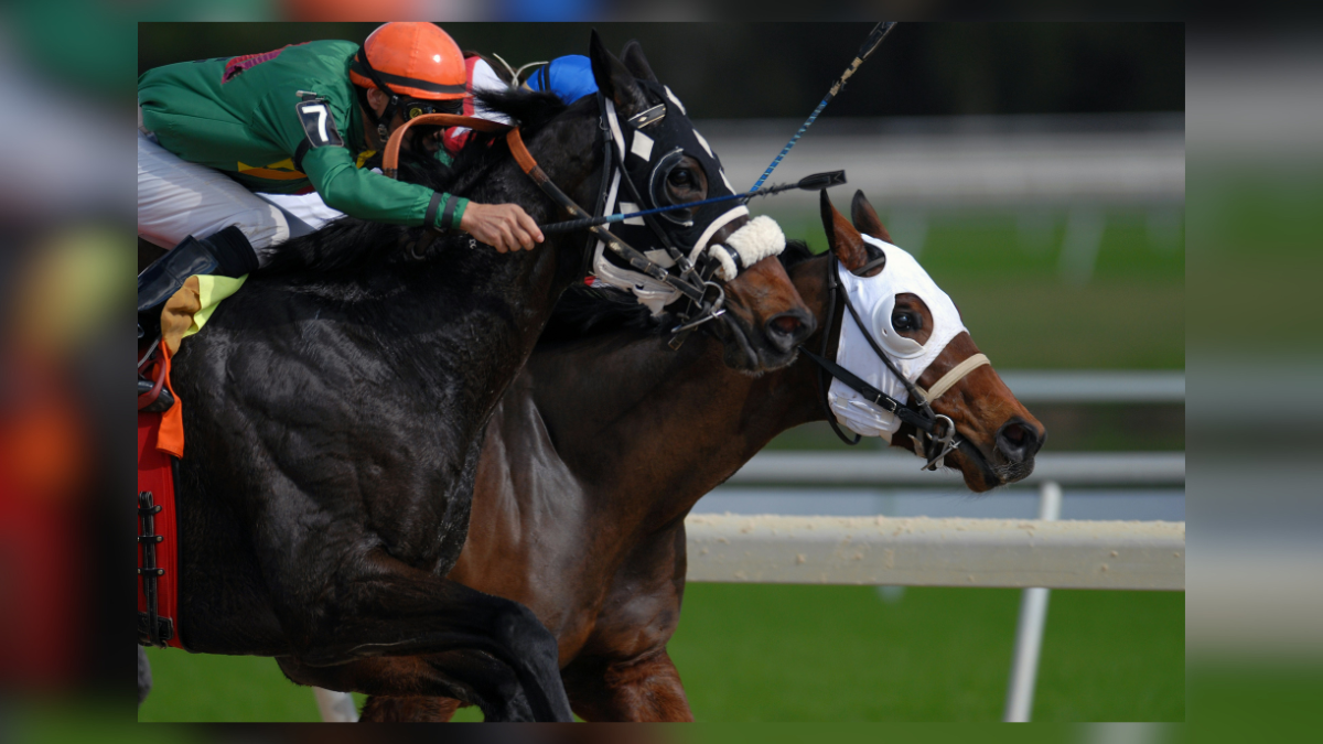 crowning moments at the racecourse royals in the winners enclosure