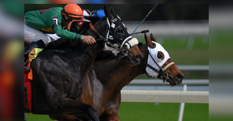 crowning moments at the racecourse royals in the winners enclosure