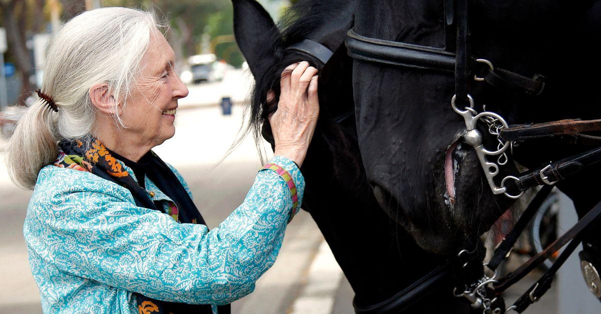jane goodall life in photos animal welfare activist dead at