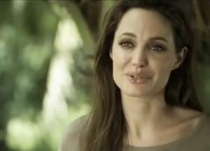 Angelina Jolie Says Her Boys Eat Crickets Like Doritos in