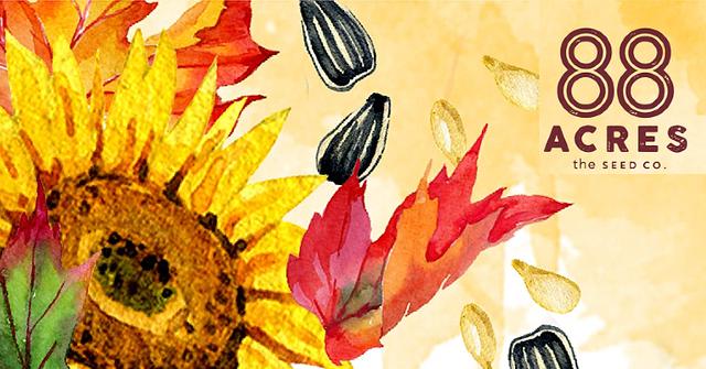 acres back to school healthy snacks budget shop