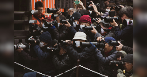 how celebs have successfully avoided the paparazzi