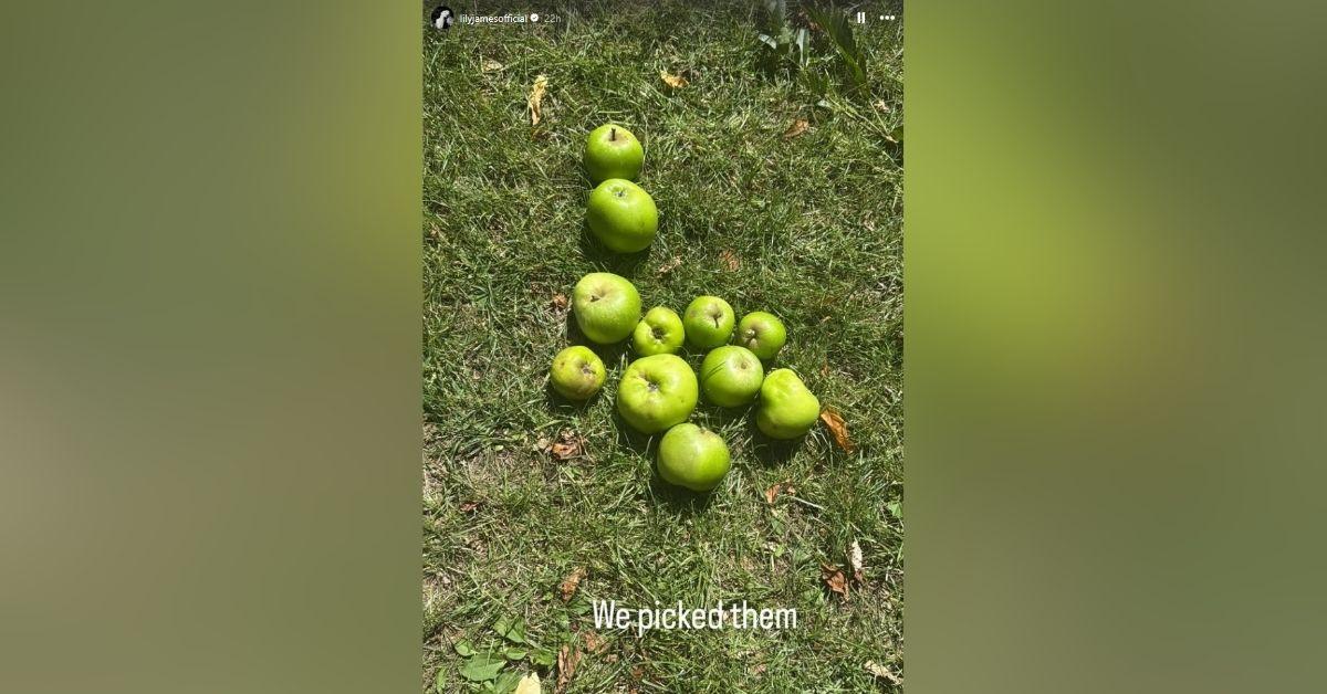 image of The 'Mamma Mia' star treated fans to snaps from her apple-picking day.