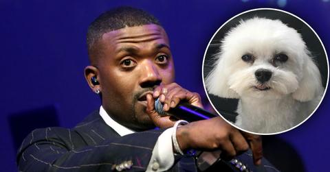 Ray J Missing Dog PP