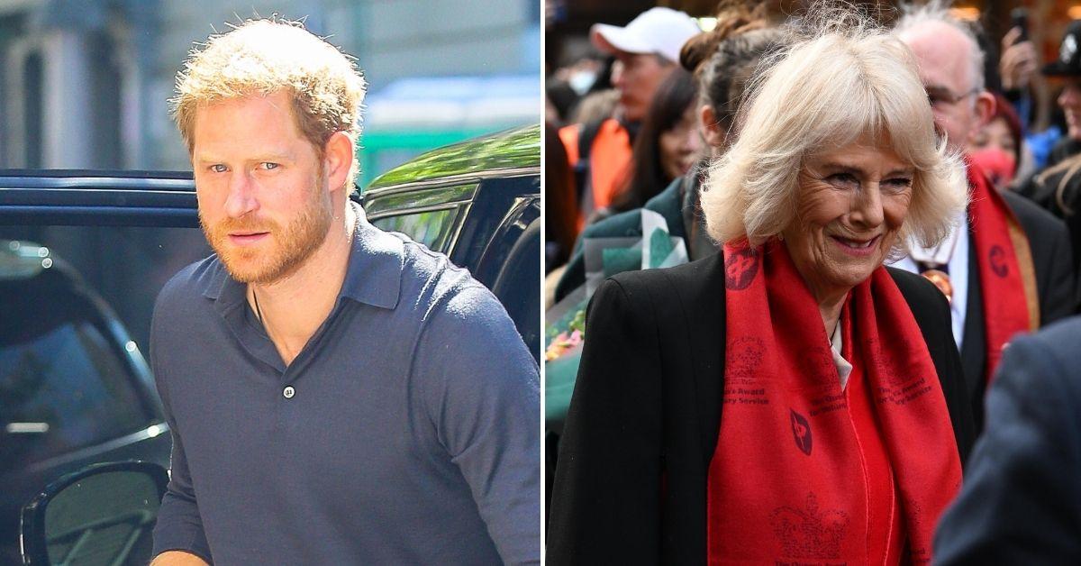 princess diana butler prince harry livid camilla queen consort