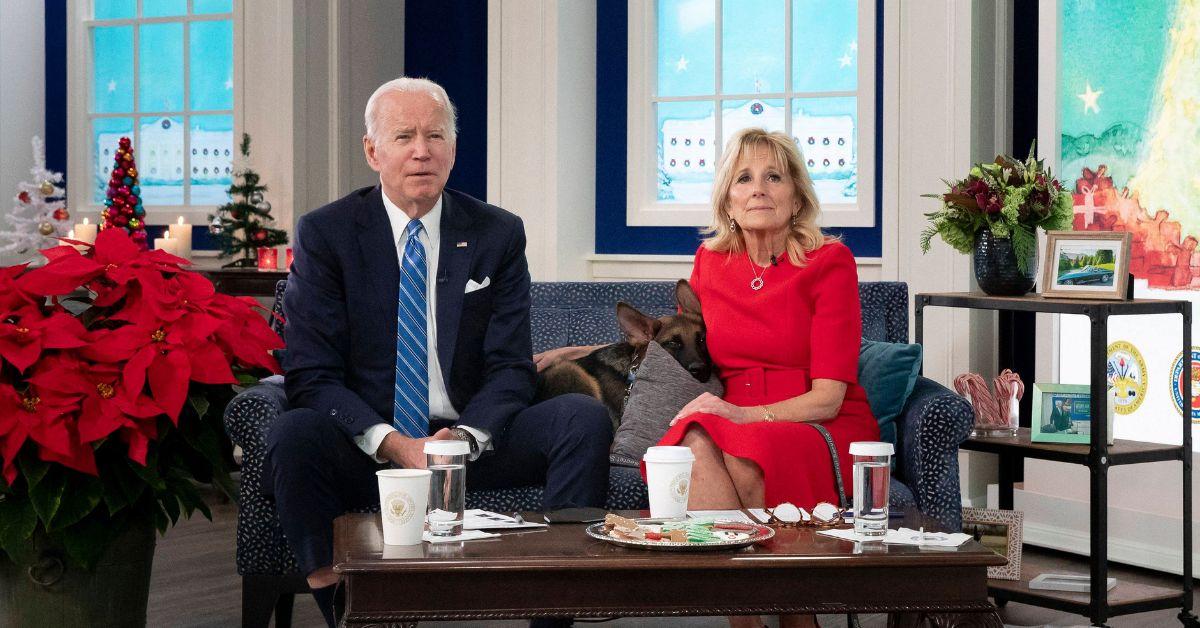 jake tapper says bidens dog has to go after biting secret service