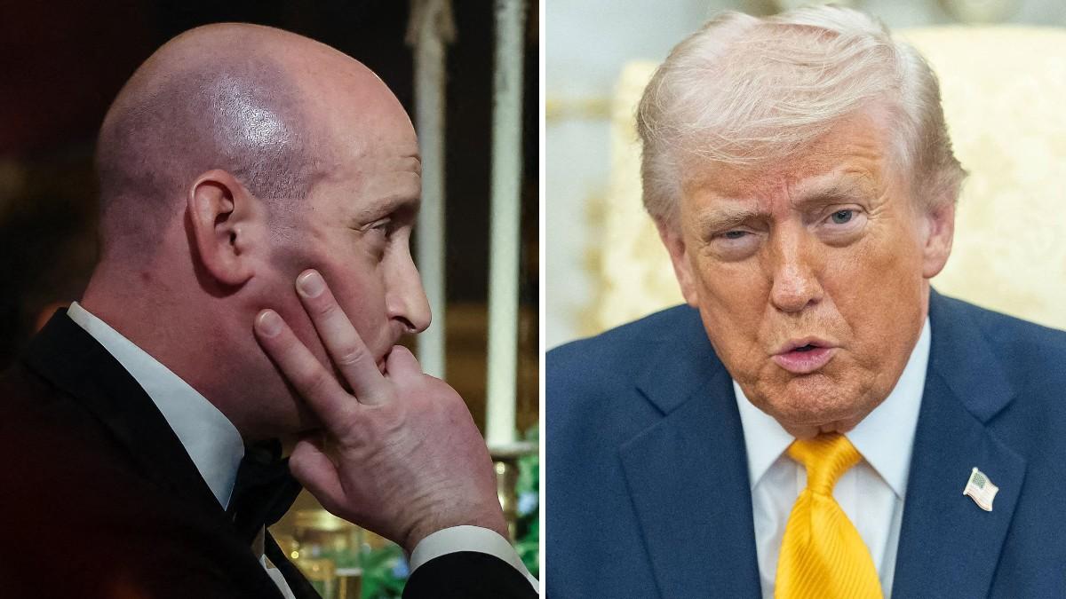 split of Stephen Miller, Donald Trump. 